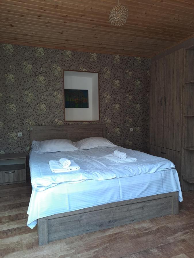 מסטיה Irina'S Guesthouse מראה חיצוני תמונה
